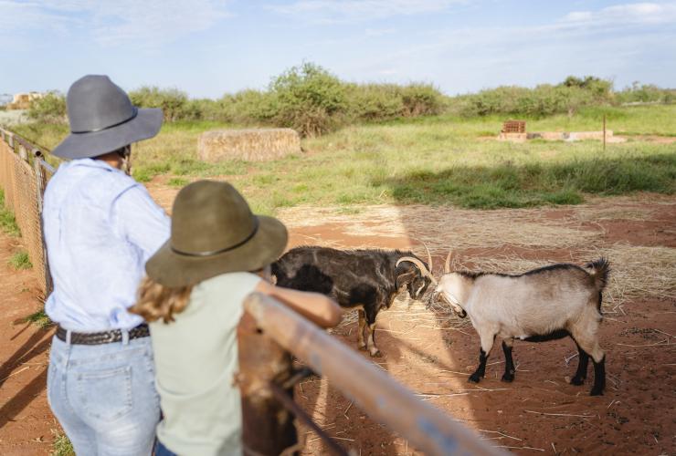 Madre e figlia che ammirano due capre in un recinto alla Bullara Station, Ningaloo, Western Australia © Tourism Australia