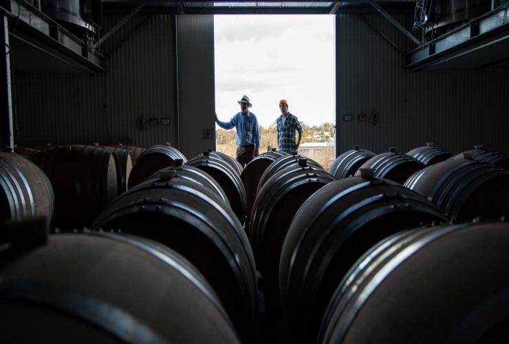 Clonakilla Wines, regione vinicola del distretto di Canberra, New South Wales © Boomtown Pictures 