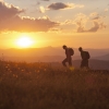 Razorback, High Country, Victoria © Tourism Victoria
