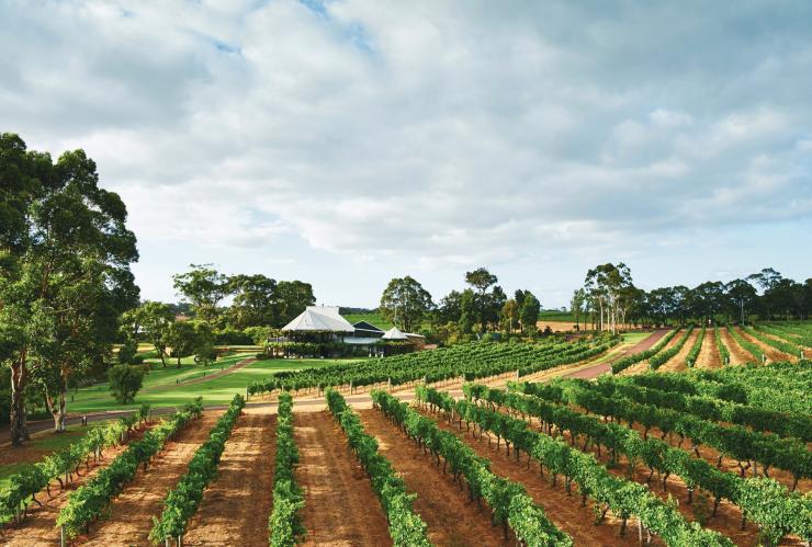Vasse Felix, Margaret River, Western Australia © Vasse Felix