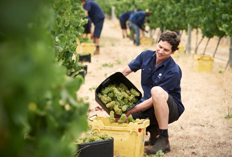 Vasse Felix, Margaret River, Western Australia © Vasse Felix