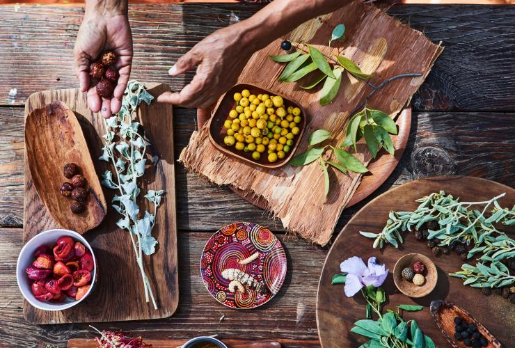 Bush Tucker Journey, Yulara, Northern Territory © Voyages