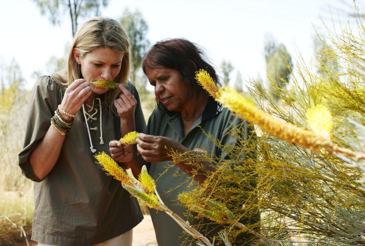 Bush Tucker Yarn, Yulara, Northern Territory © Voyages