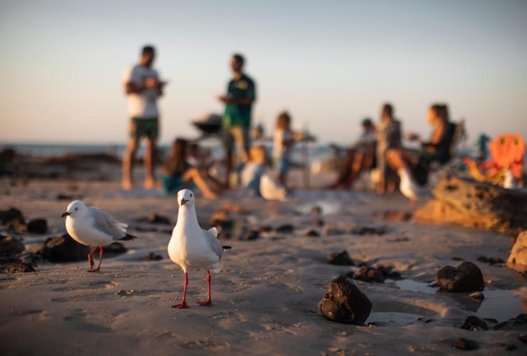 Gantheaume Beach, Broome, Western Australia © Tourism Australia