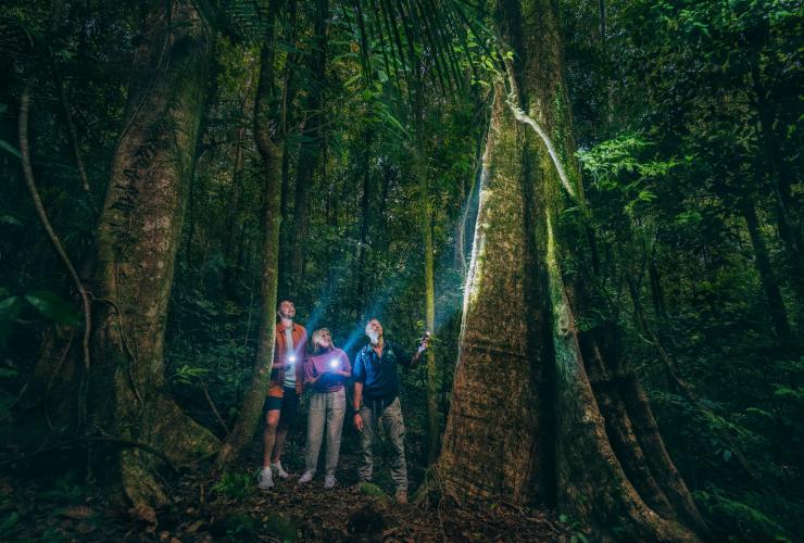Tour guidato nel Daintree Rainforest National Park, Queensland © Tourism and Events Queensland