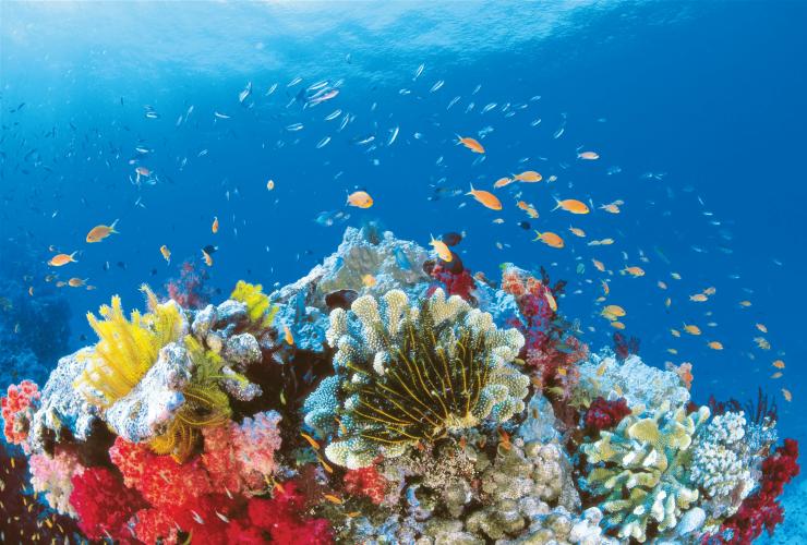 Al largo delle Isole Whitsunday, Grande Barriera Corallina, Queensland © Tourism and Events Queensland