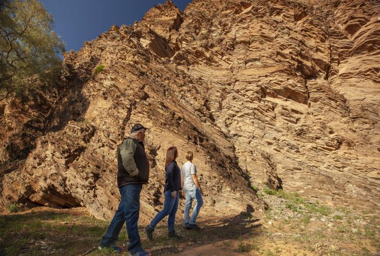 Wilpena Pound, Flinders Ranges National Park, South Australia © Tourism Australia