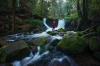 Millaa Millaa Falls, Millaa Millaa, Queensland © Tourism and Events Queensland