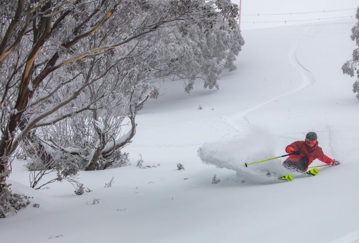 Mount Hotham, Victoria © Karl Gray Media