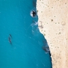 Una balena che salta fuori dall'oceano durante un tour con Dive Jervis Bay, Jervis Bay, New South Wales © Jordan Robins