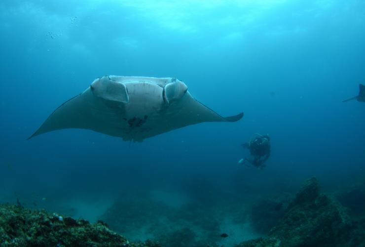 Manta Bommie, North Stradbroke Island, Queensland © Nigel Marsh/Tourism and Events Queensland