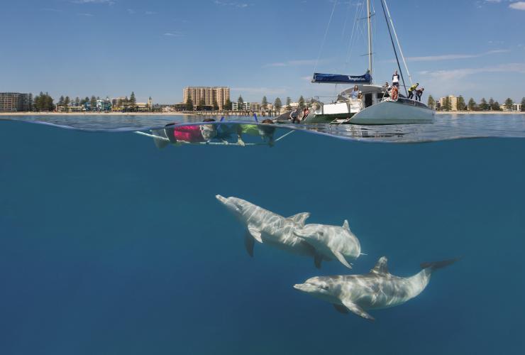Temptation Sailing, Glenelg, South Australia © South Australia Tourism Commission
