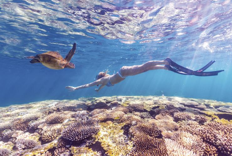 Snorkeling, Ningaloo Reef, Western Australia © Australia's Coral Coast