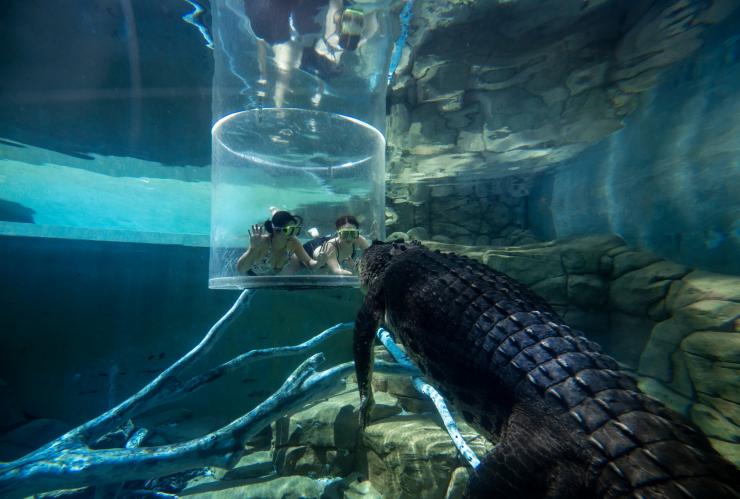 Crocosaurus Cove, Darwin, Northern Territory © Tourism NT/Shaana McNaught