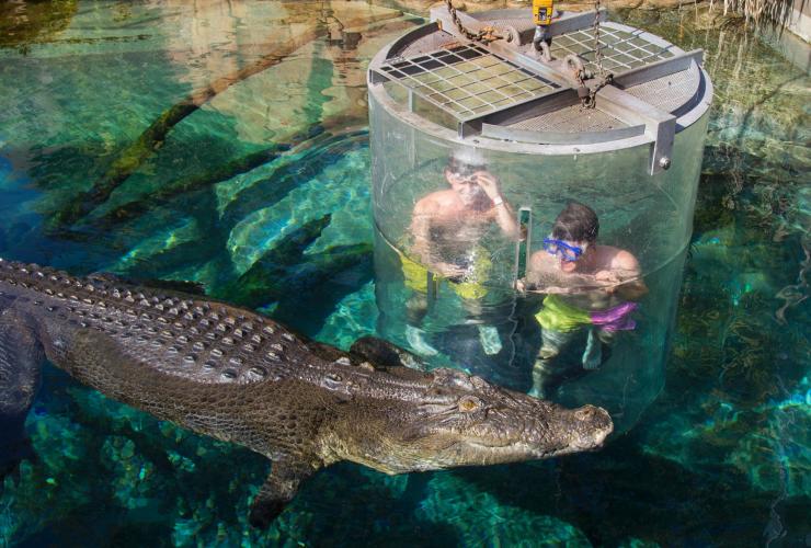 Crocosaurus Cove, Darwin, Northern Territory © Virgin Australia
