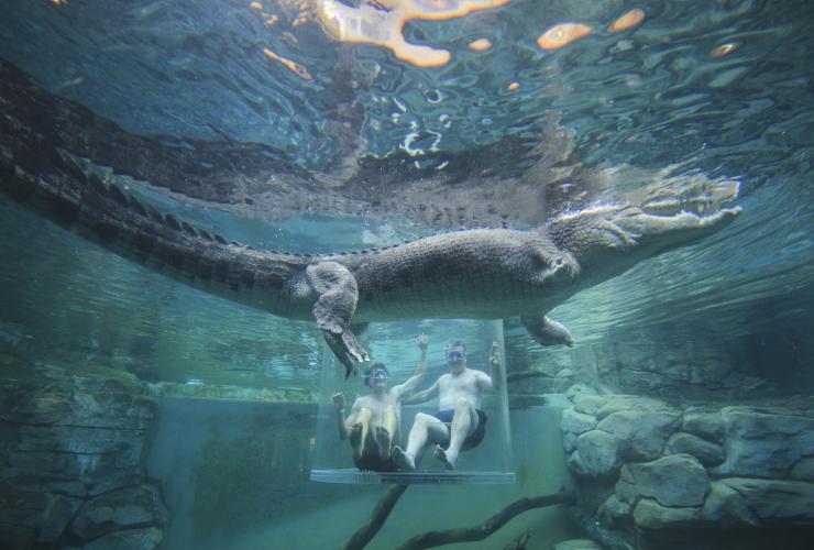Crocosaurus Cove, Darwin, Northern Territory © Tourism Australia