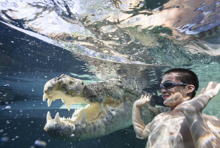 Cage of Death, Crocosaurus Cove, Darwin, Northern Territory © Tourism Northern Territory