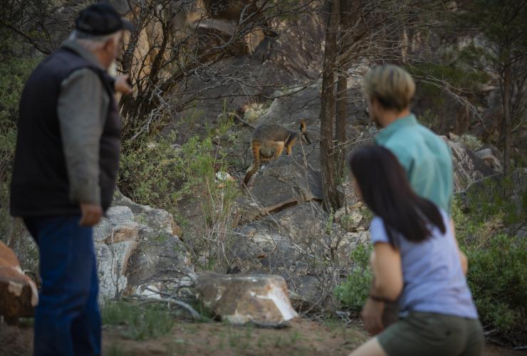 南オーストラリア州、フリンダース山脈 © Tourism Australia