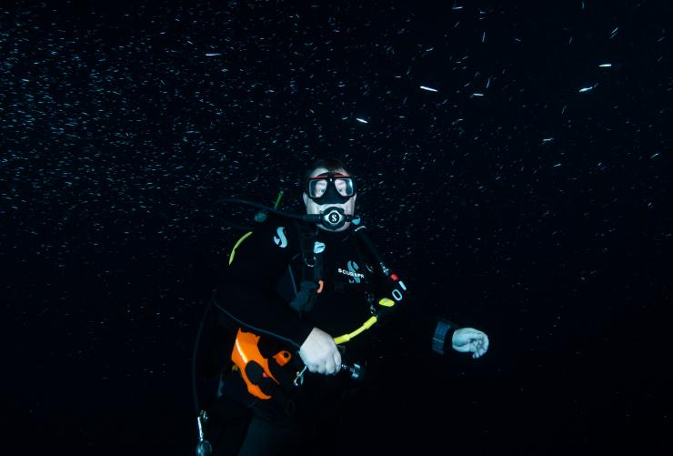 西オーストラリア州、パース、パース・スキューバ © Perth Scuba/Johanna Pool
