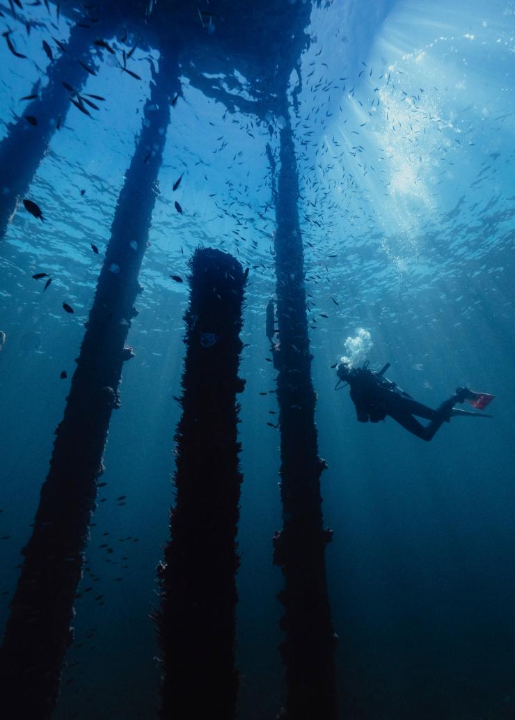 西オーストラリア州、バッセルトン、バッセルトン桟橋 © Tourism Western Australia