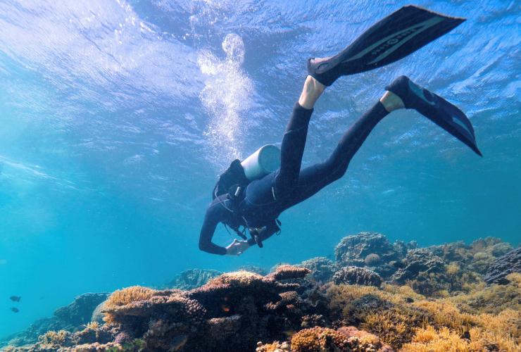 ニュー・サウス・ウェールズ州、ロード・ハウ島 © Mark Fitzpatrick/Destination NSW