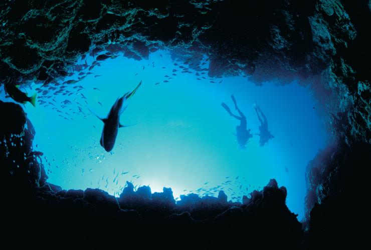 西オーストラリア州、ニンガルーリーフ、ダイビング © Tourism Western Australia