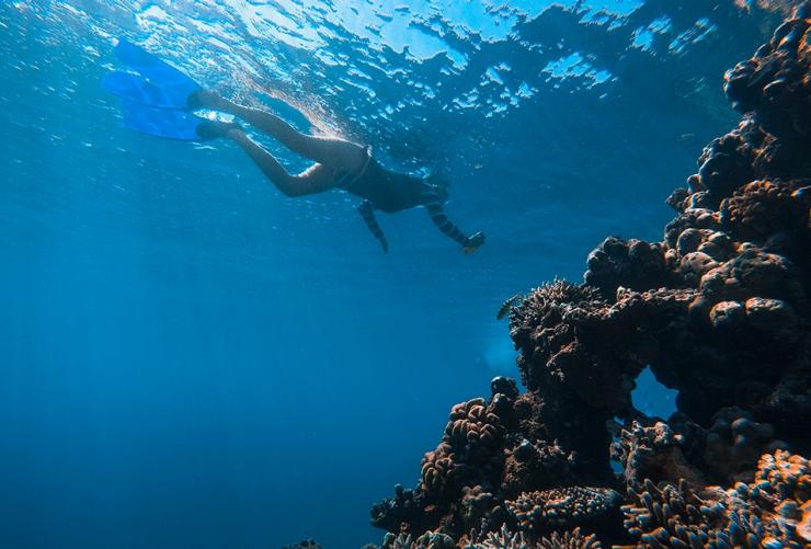 西オーストラリア州、ロウリー・ショールズ、シュノーケリング © Tourism Australia