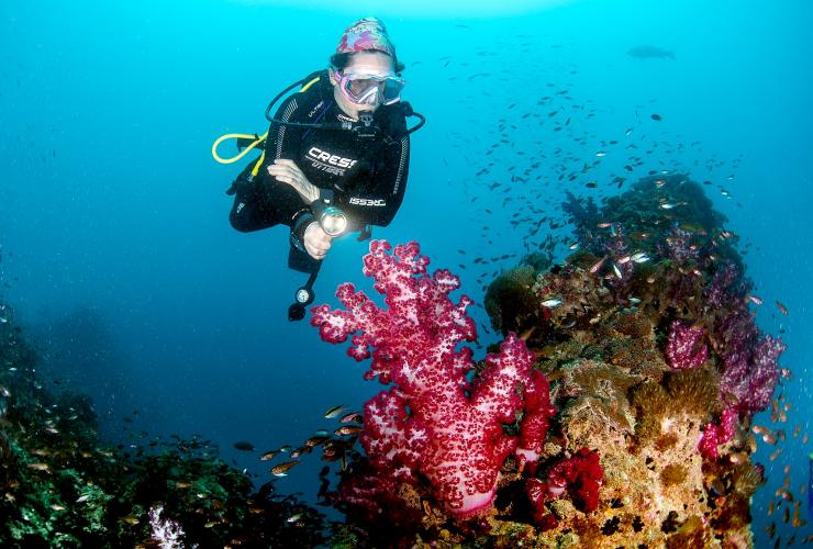 クイーンズランド州、グレート・バリア・リーフ、ヨンガラ難破船 © Tourism and Events Queensland/Scuba Diver Life