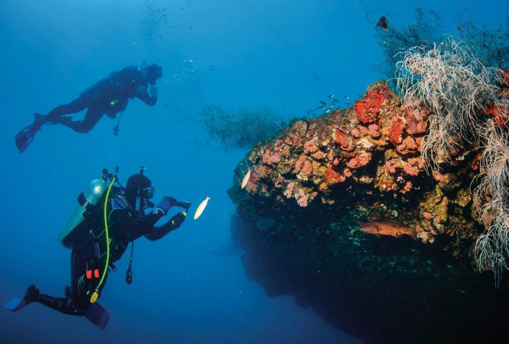 クイーンズランド州、グレート・バリア・リーフ、ヨンガラ難破船 © Tourism and Events Queensland