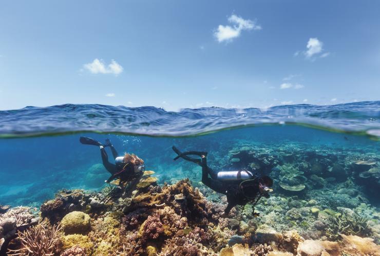 クイーンズランド州北部、エイジンコート・リーフ、スキューバダイビング © Tourism and Events Queensland