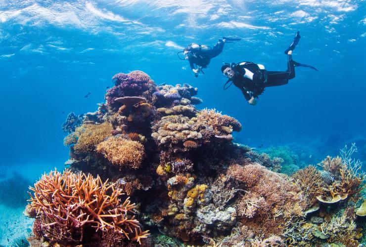 クイーンズランド州、グレート・バリア・リーフ、リボン・リーフ、チャレンジャー・ベイ © Tourism and Events Queensland