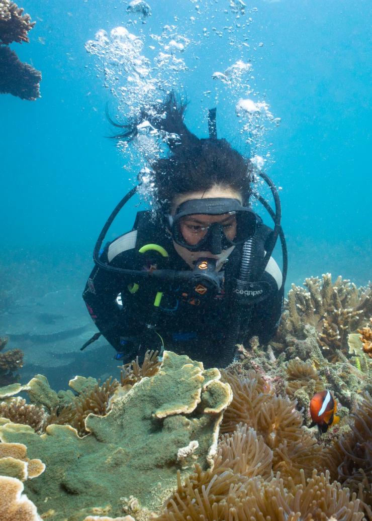 クイーンズランド州、グレート・ケッペル島、ケッペル・ダイブ＆シュノーケリング © Tourism and Events Queensland