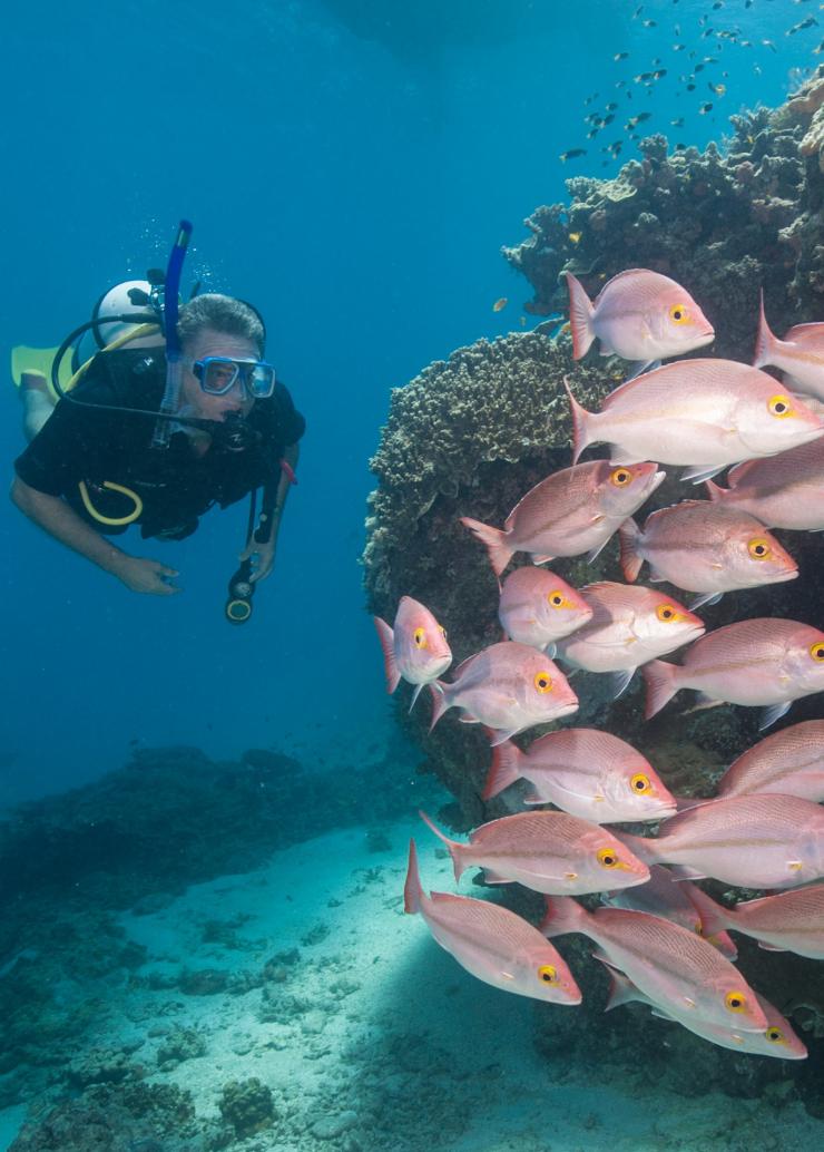 クイーンズランド州、グレート・バリア・リーフ、ヘロン島 © Tourism & Events Queensland