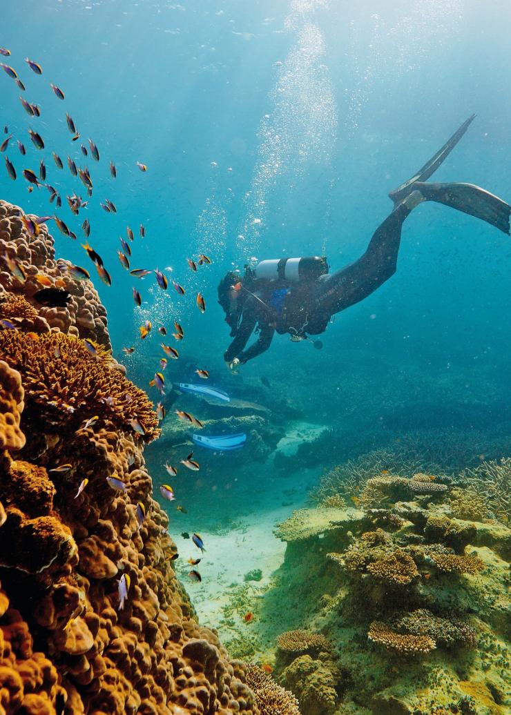 クイーンズランド州、グレート・バリア・リーフ、ヘロン島 © Tourism and Events Queensland