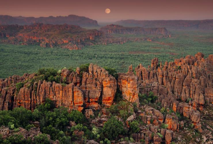 ノーザンテリトリー、カカドゥ © Tourism NT/Hello Emily