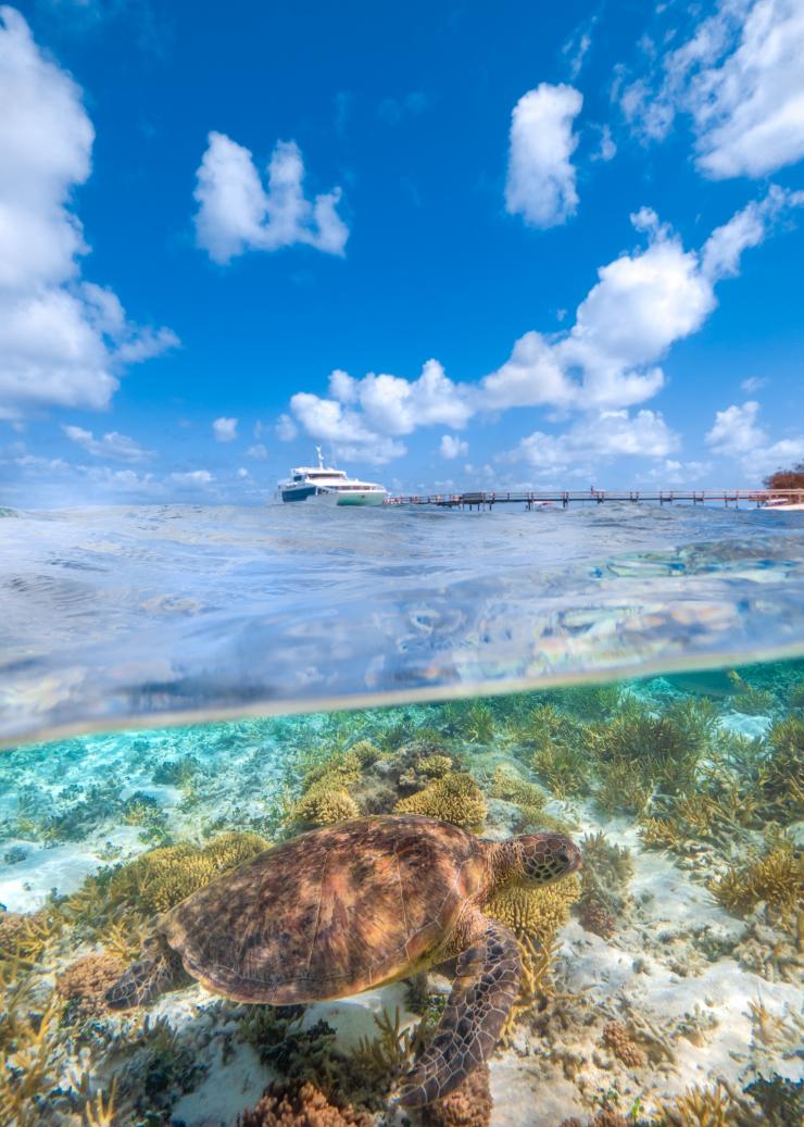 クイーンズランド州、グレート・バリア・リーフ、ヘロン島 © Tourism and Events Queensland