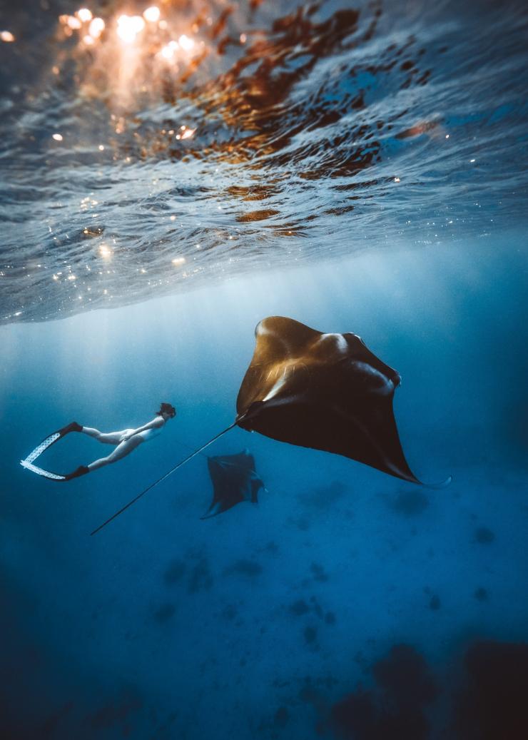 クイーンズランド州、グレート・バリア・リーフ、レディー・エリオット島 © Tourism and Events Queensland
