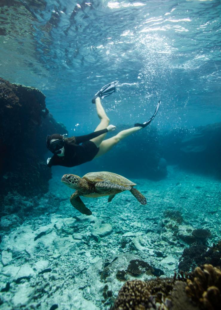 クイーンズランド州、グレート・バリア・リーフ、レディー・エリオット島 © Tourism and Events Queensland