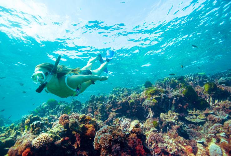 ニュー・サウス・ウェールズ州、ロード・ハウ島でシュノーケリング © Trevor King, Destination NSW