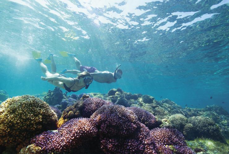 ニュー・サウス・ウェールズ州、ロード・ハウ島、シュノーケリング © Destination NSW