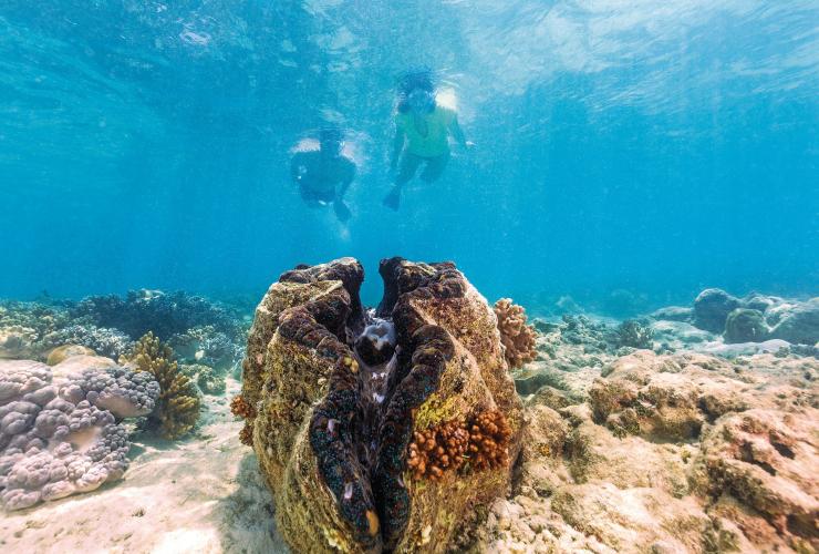 クイーンズランド州、グレート・バリア・リーフ、ミコマス・ケイ © Tourism and Events Queensland