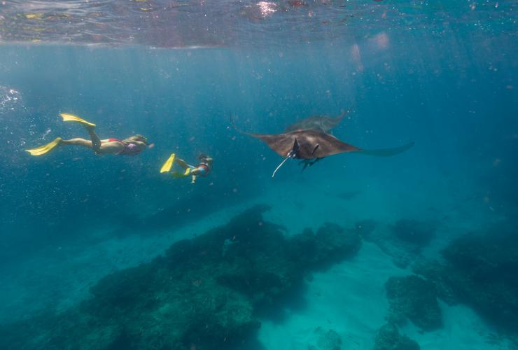 西オーストラリア州、ニンガルーリーフ、コーラル・ベイ © Tourism Western Australia