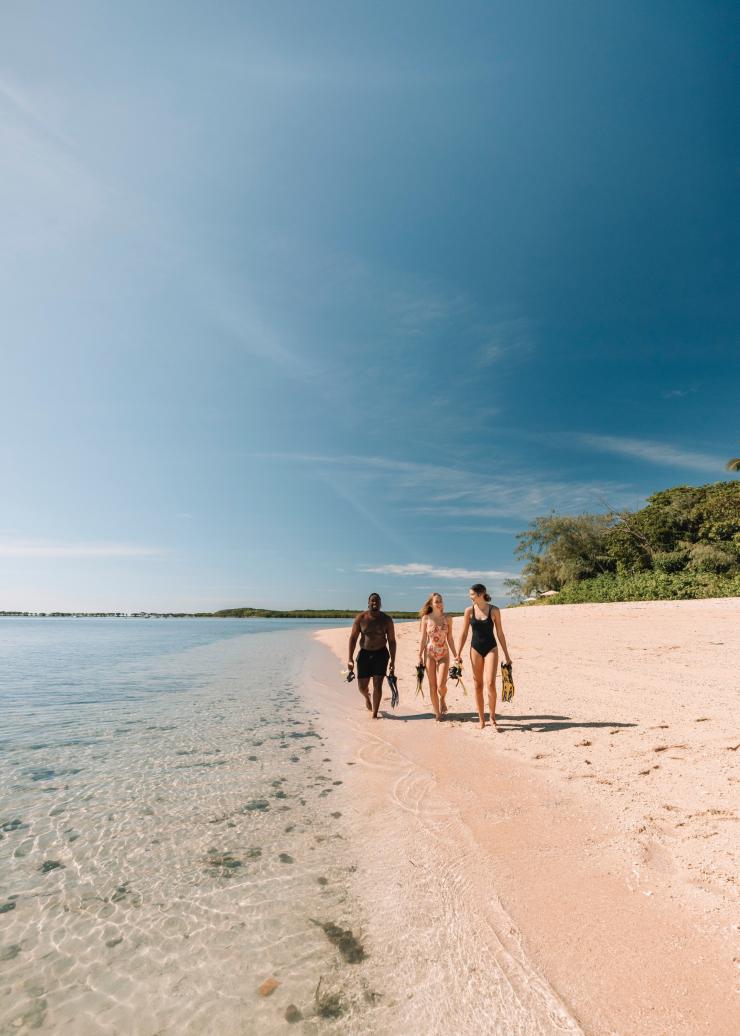 クイーンズランド州、ロウ・アイルズ、リーフ・スプリンター © Tourism and Events Queensland