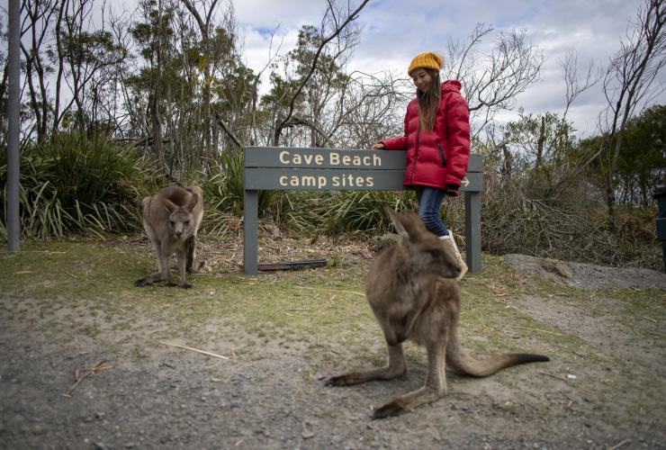 ニュー・サウス・ウェールズ州、ブーデリー国立公園、ケーブ・ビーチ・キャンプ場 © Tourism Australia