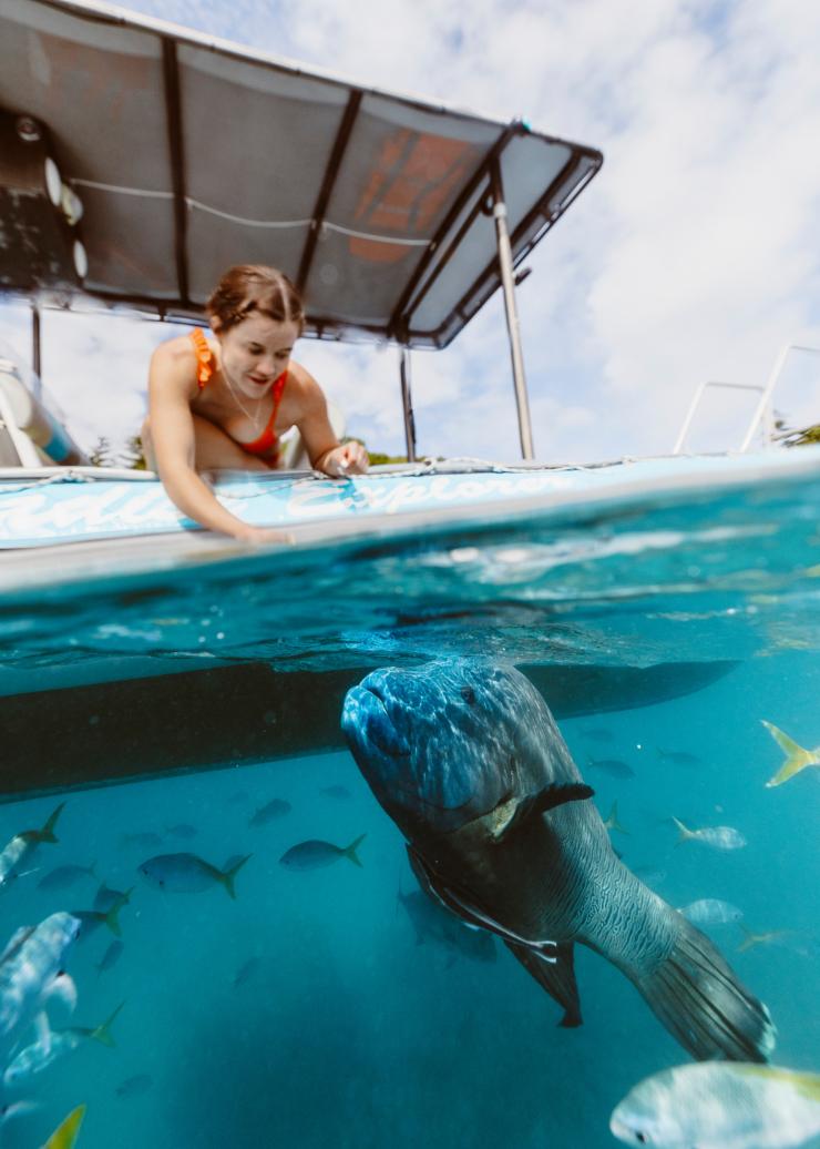 クイーンズランド州、ウィットサンデー諸島、ウィットサンデー・パラダイス・エクスプローラー © Tourism and Events Queensland