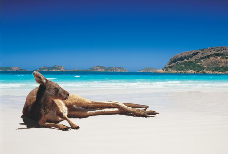 西オーストラリア州、エスペランス、ケープ・ル・グラン国立公園、ラッキー・ベイ © Tourism Australia