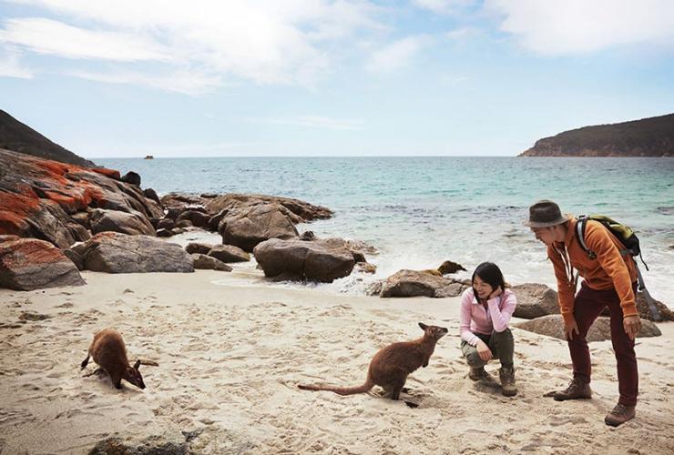 タスマニア州、フレシネ国立公園、ワイングラス・ベイ © Tourism Australia