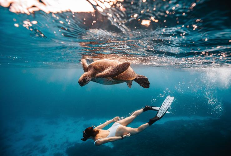 クイーンズランド州、サザン・グレート・バリア・リーフ、レディー・エリオット島 © Tourism and Events Queensland