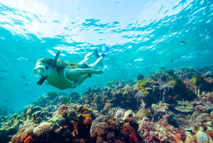 ニュー・サウス・ウェールズ州、ロード・ハウ島、シュノーケル © Destination NSW