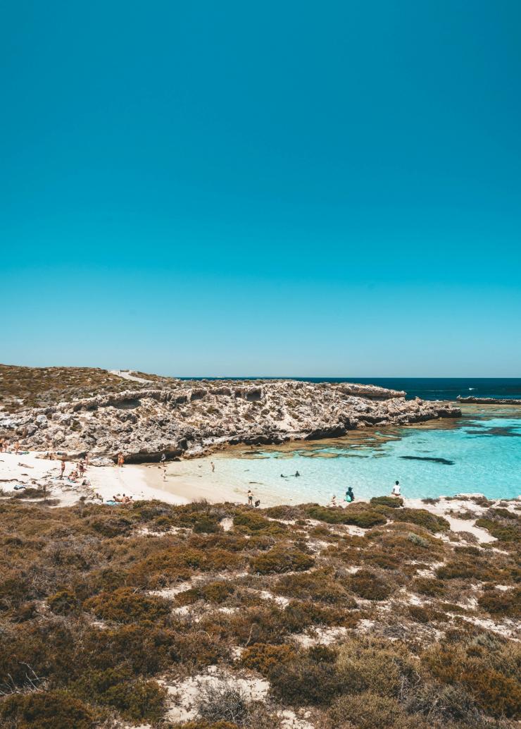 西オーストラリア州、ロットネスト島、リトル・サーモン・ベイ © Tourism Western Australia